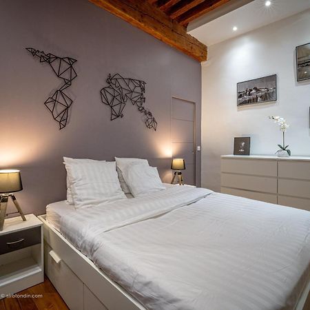 L'Ecrin De Chambery, Coeur De Centre Ville, Calme Et Espace المظهر الخارجي الصورة
